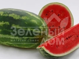 Семена арбуза Дайтона F1 / Daytona F1,80-85 дней купить оптом и в розницу в Украине по выгодной цене