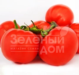 Семена томатов Лабадо F1 / Labado F1,110-120 дней купить оптом и в розницу в Украине по выгодной цене