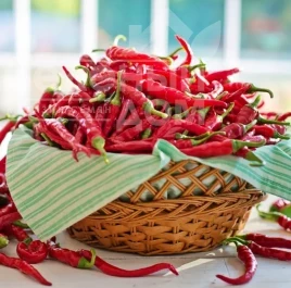 Семена горького перца Пиноккио F1 / Pinokkio F1 купить оптом и в розницу в Украине по выгодной цене