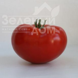 Насіння томатів КС 202 F1 / KS 202 F1,105-115 днів купити оптом і в роздріб в Україні за вигідною ціною