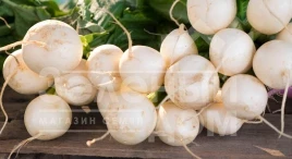 Семена редиса Бланка / Blanka,25-30 дней купить оптом и в розницу в Украине по выгодной цене