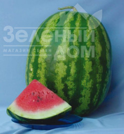 Насіння кавуна Ау Продюсер / Au Producer (Lark Seeds), 80-85 дней купити оптом і в роздріб в Україні за вигідною ціною