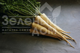 Насіння петрушки Ігл / Eagl,135 днів купити оптом і в роздріб в Україні за вигідною ціною