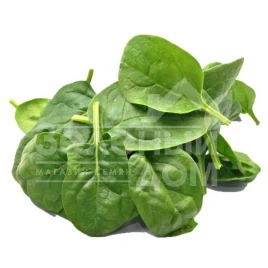 Семена шпината Хадсон F1 / Hadson F1 купить оптом и в розницу в Украине по выгодной цене