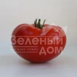 Семена томатов КС 202 F1 / KS 202 F1,105-115 дней купить оптом и в розницу в Украине по выгодной цене