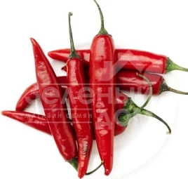 Семена горького перца Бибо (Импала) F1 / Bibo (Impala)  F1,65-70 дней купить оптом и в розницу в Украине по выгодной цене