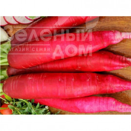 Насіння редьки Карміна / Karmina,40-50 днів купити оптом і в роздріб в Україні за вигідною ціною