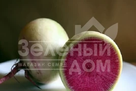 Семена редьки Ред Мит / Red Mit,60 дней купить оптом и в розницу в Украине по выгодной цене