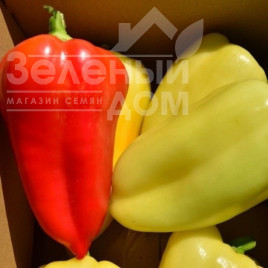 Насіння солодкого перцю Аміка F1 / Amyka F1,50-60 днів купити оптом і в роздріб в Україні за вигідною ціною