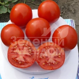 Семена томатов 1855 F1 / 1855 F1, 80 дней купить оптом и в розницу в Украине по выгодной цене