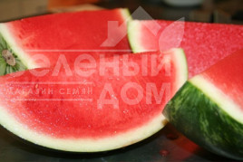 Насіння кавуна Регус F1 / Regus F1 купити оптом і в роздріб в Україні за вигідною ціною