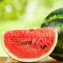 Семена арбуза Эсмеральда F1 / Esmeralda F1 купить оптом и в розницу в Украине по выгодной цене