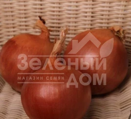 Лук репчатый Флагман F1 / Flagman F1, 105-115 дней купить оптом и в розницу в Украине по выгодной цене