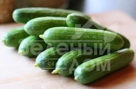 Семена огурцов Супер Бейби F1 / Super Baby F1,42-45 дней купить оптом и в розницу в Украине по выгодной цене