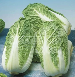 Семена капусты пекинской Маноко F1 / Manoko F1,45-48 дней купить оптом и в розницу в Украине по выгодной цене