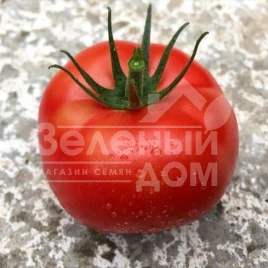 Семена томатов Клад F1 / Klad F1,95 дней купить оптом и в розницу в Украине по выгодной цене