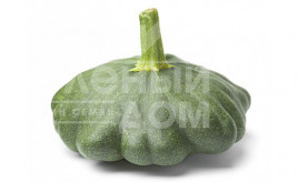 Насіння патисону Гріндіск F1 / Greendisc F1,40-45 днів купити оптом і в роздріб в Україні за вигідною ціною