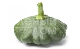Насіння патисону Гріндіск F1 / Greendisc F1,40-45 днів купити оптом і в роздріб в Україні за вигідною ціною