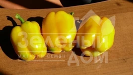 Семена сладкого перца Виват F1 / Vivat F1,75 дней купить оптом и в розницу в Украине по выгодной цене