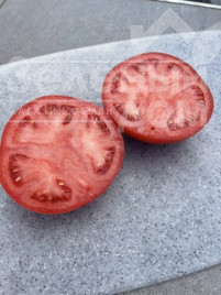 Насіння томатів Стронг F1 / Strong F1, 115 днів купити оптом і в роздріб в Україні за вигідною ціною