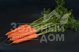 Семена моркови Санторин F1 / Santorin F1,120 дней купить оптом и в розницу в Украине по выгодной цене