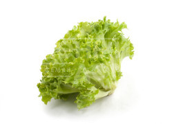 Насіння салату Експлор / Explore купити оптом і в роздріб в Україні за вигідною ціною