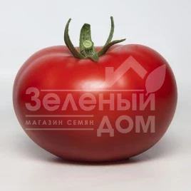 Семена томатов КС 301 F1 / KS 301 F1,105-115 дней купить оптом и в розницу в Украине по выгодной цене