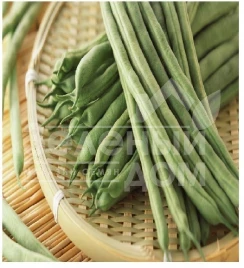 Семена спаржевой фасоли Пайк / Paik купить оптом и в розницу в Украине по выгодной цене
