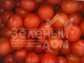 Семена томатов Диззи (INX 6056) F1 / Dizzy (INX 6056) F1, 120 дней купить оптом и в розницу в Украине по выгодной цене