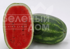 Насіння кавуна Паладін F1 / Paladin F1,70-75 днів купити оптом і в роздріб в Україні за вигідною ціною