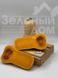 Насіння гарбуза Скарлет F1 / Skarlet F1 купити оптом і в роздріб в Україні за вигідною ціною