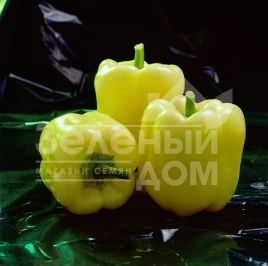 Семена сладкого перца Мадонна F1 / Madonna F1,60-65 дней купить оптом и в розницу в Украине по выгодной цене