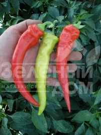 Семена горького перца Огнивец / Ohnivec,70-75 дней купить оптом и в розницу в Украине по выгодной цене
