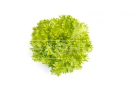 Семена салата Экзэкт / Exact купить оптом и в розницу в Украине по выгодной цене