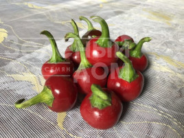 Насіння гіркого перцю Глобус F1 / Globus F1,70 днів купити оптом і в роздріб в Україні за вигідною ціною