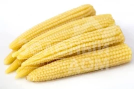 Семена кукурузы Миниголд / Minigold купить оптом и в розницу в Украине по выгодной цене