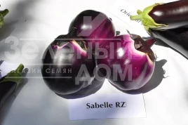 Насіння баклажану Сабелле F1 / Sabelle F1,68-72 дні купити оптом і в роздріб в Україні за вигідною ціною