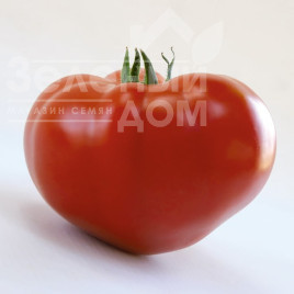 Насіння томатів КС 204 F1 / KS 204 F1 купити оптом і в роздріб в Україні за вигідною ціною