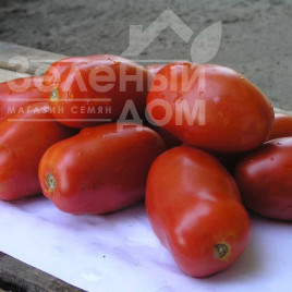 Насіння томатів Інкас F1 / Incas F1,95-100 днів купити оптом і в роздріб в Україні за вигідною ціною