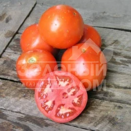Семена томатов Ламантин F1 / Lamantin F1,98-105 дней купить оптом и в розницу в Украине по выгодной цене