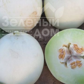 Насіння дині Анук (INX 1063) F1 / Anuk (INX 1063) F1,80-82 днів купити оптом і в роздріб в Україні за вигідною ціною