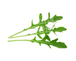 Насіння руколи Єтті F1 / Yetti F1 купити оптом і в роздріб в Україні за вигідною ціною