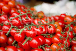 Насіння томатів Іділ / Idil купити оптом і в роздріб в Україні за вигідною ціною