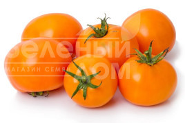 Насіння томатів Оранж / Orange,100-110 днів купити оптом і в роздріб в Україні за вигідною ціною