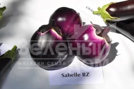 Семена баклажана Сабелле F1 / Sabelle F1,68-72 дня купить оптом и в розницу в Украине по выгодной цене