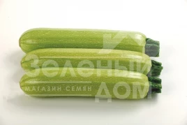 Семена кабачков Исмалиа F1 / Ismalia F1,40-45 дней купить оптом и в розницу в Украине по выгодной цене