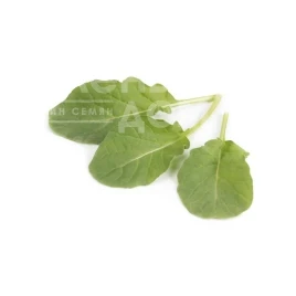 Насіння руколи Спаркл / Sparkle купити оптом і в роздріб в Україні за вигідною ціною