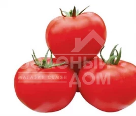 Семена томатов Португальский F1 UG / Portugalskiy F1 UG купить оптом и в розницу в Украине по выгодной цене
