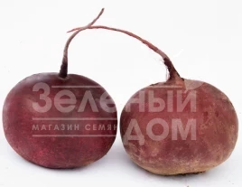 Семена свеклы Воевода / Voievoda,110-120 дней купить оптом и в розницу в Украине по выгодной цене