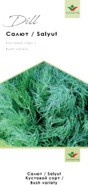 Семена укропа Салют / Saluyt купить оптом и в розницу в Украине по выгодной цене